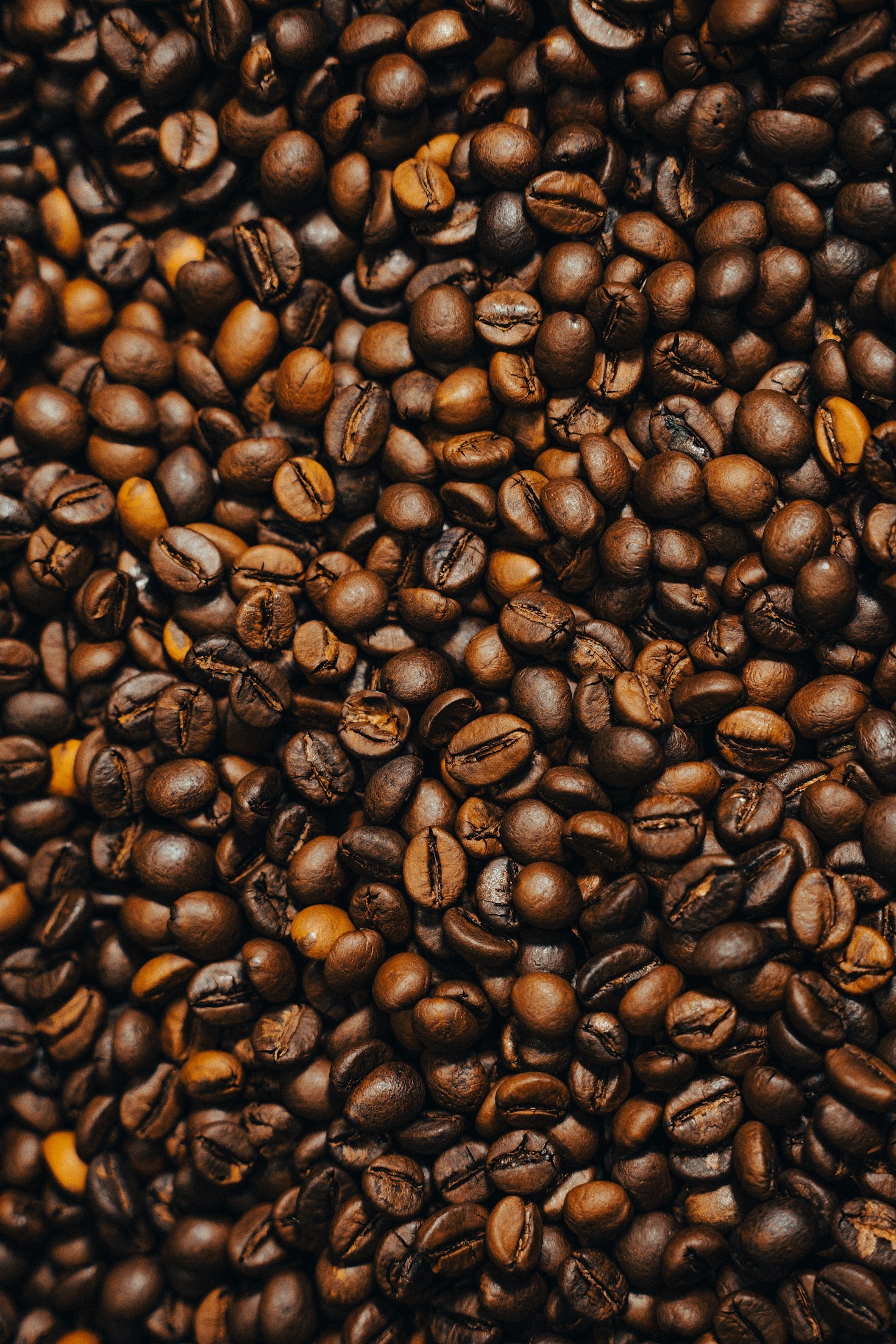 Volautomaat versus filterkoffie: wat past bij u?