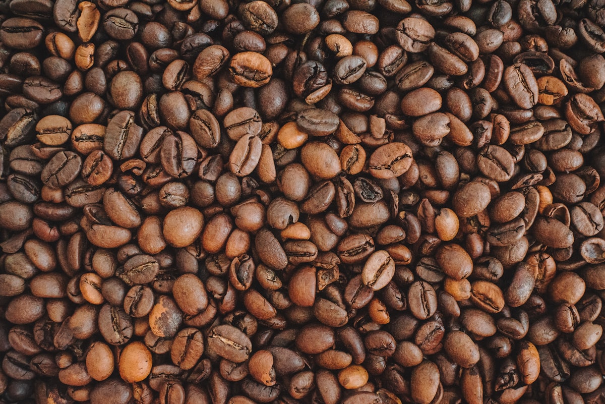 Beste koffiebonen voor filterkoffie
